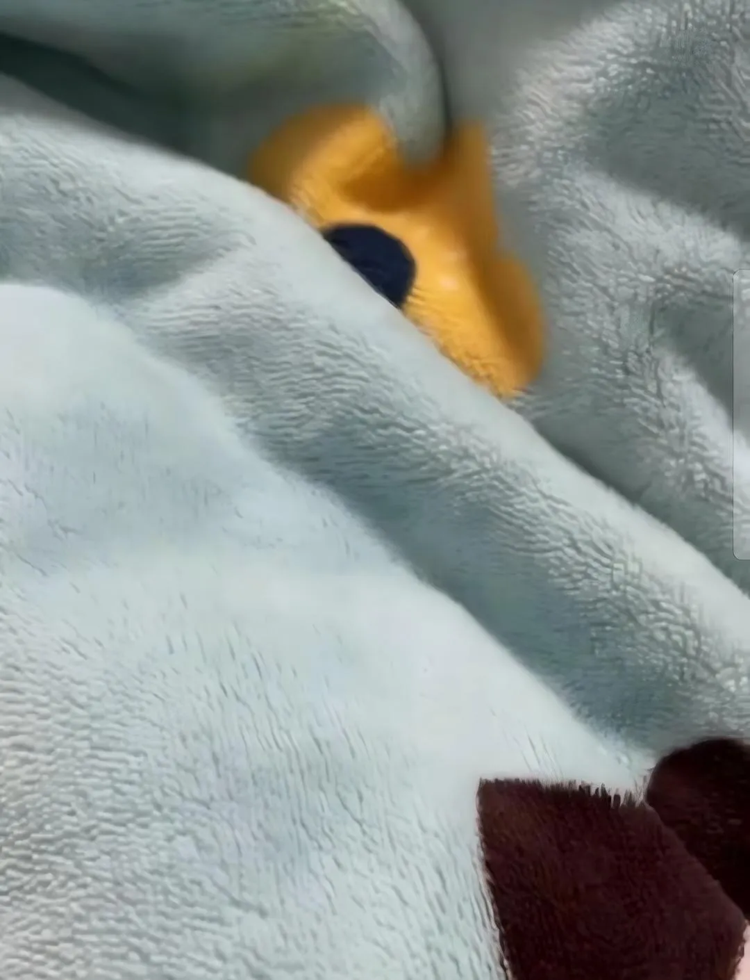 مخمل الحليب Milk Velvet