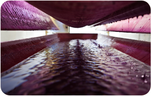 Eco-conscious Velvet Dyeing | Sustainable Wastewater Treatment & Green Manufacturing | Jiangsu Musi Printing And Dyeing Technology Co., Ltd.